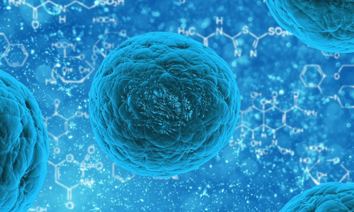 Bacterias muertas, ¿probióticos fantasma?