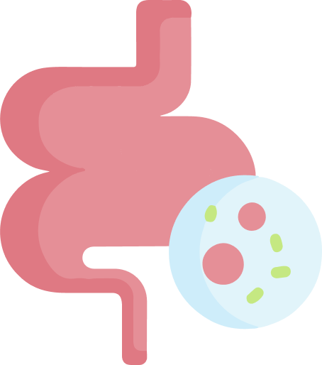 intestino