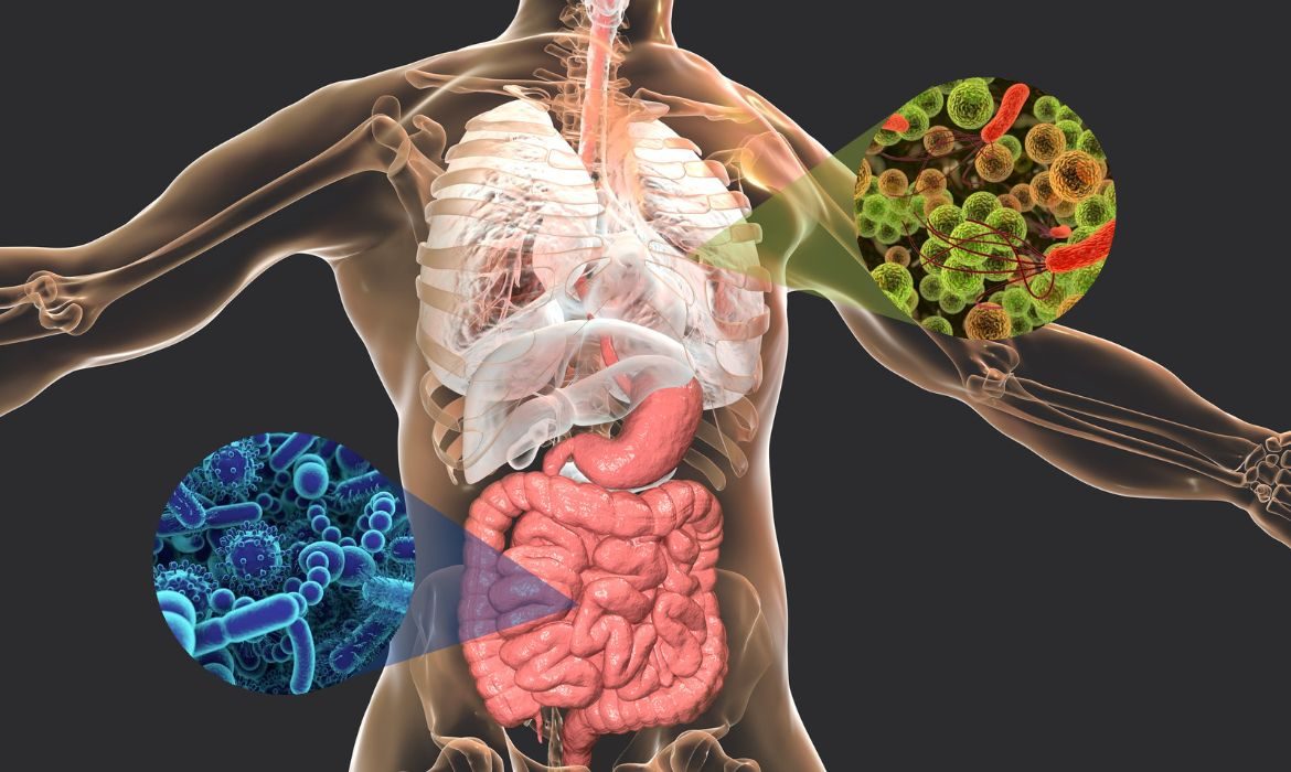Microbiota intestinal y pulmonar
