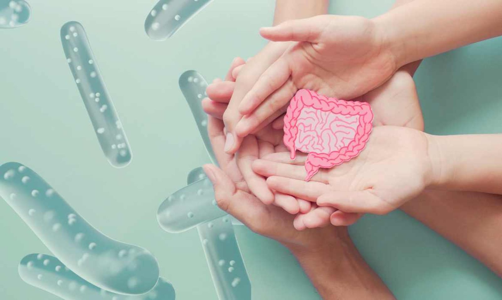 ¿Cómo identificar un producto probiótico?