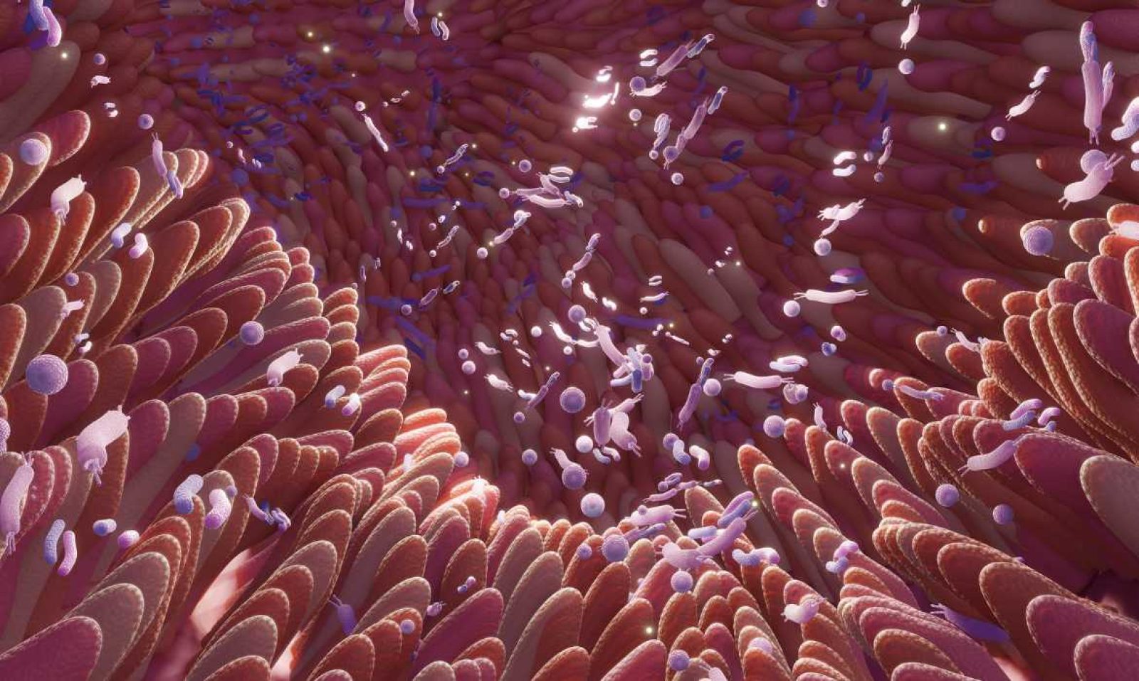 ¡Que viva la microbiota intestinal!