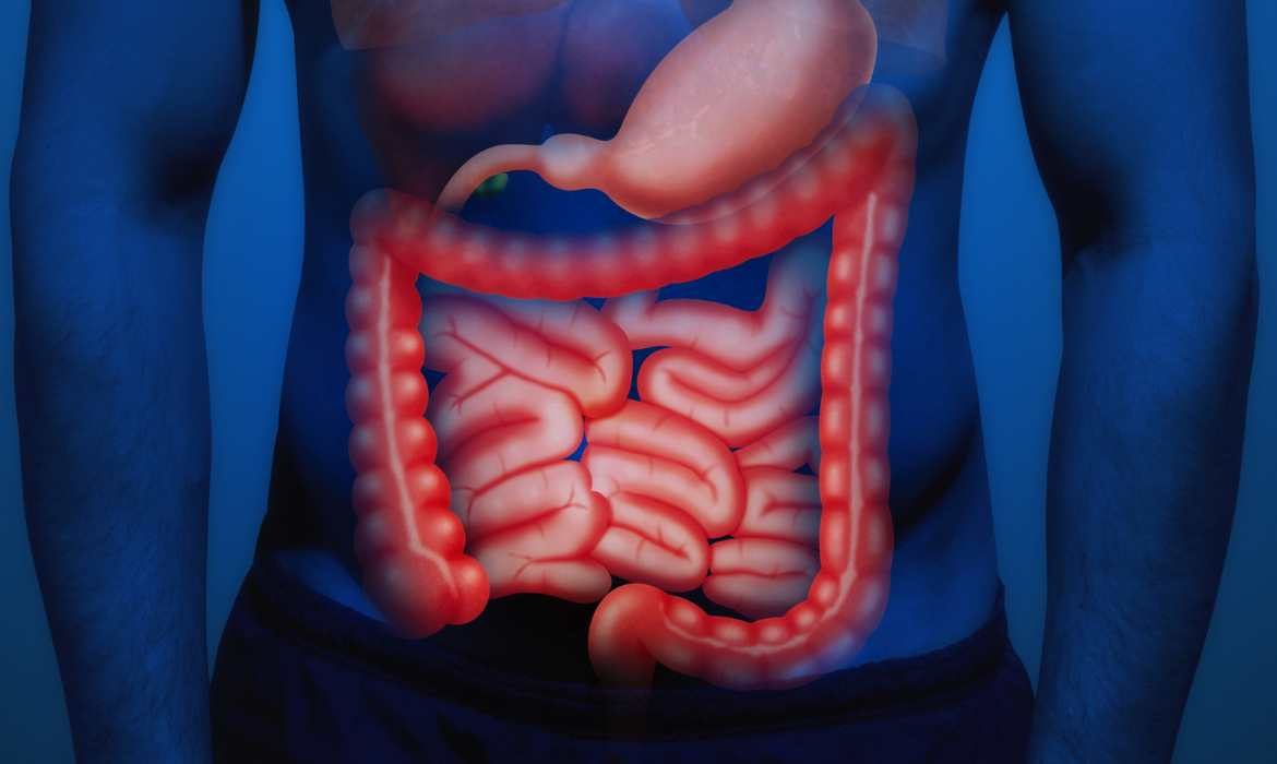 ¿Qué tipo de probiótico es mejor para tu intestino?